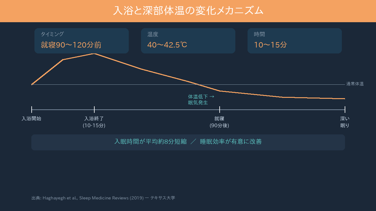 入浴と深部体温の変化メカニズムの図解